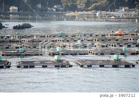 養殖生簀 養殖生簀 3907212