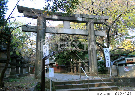 徳川将軍家安泰を祈願した寛永寺を訪れて 徳川将軍家安泰を祈願した寛永寺を訪れて 3907424