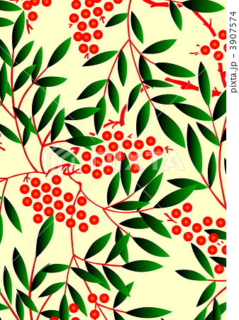 南天の実 なんてん 南天のイラスト素材