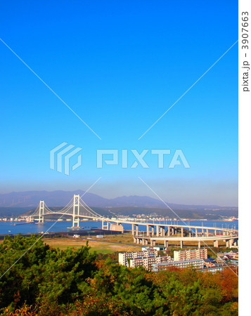 白鳥大橋 3907663