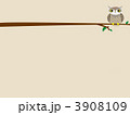 背景テクスチャ　フクロウ 3908109