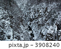 凍る渓谷 3908240