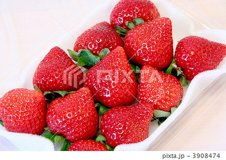 イチゴ・あまおう 3908474