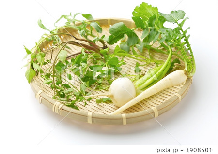 春の七種 春の七種 3908501