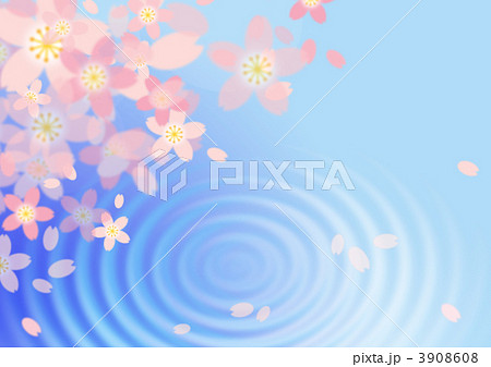 水面にうつる桜のイラスト素材