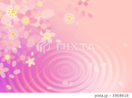 水面にうつる桜 3908616