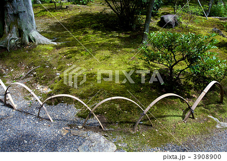 等持院の日本庭園の竹垣 等持院の日本庭園の竹垣 3908900