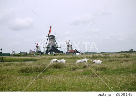 ザーンセスカンス ザーンセスカンス 3909149