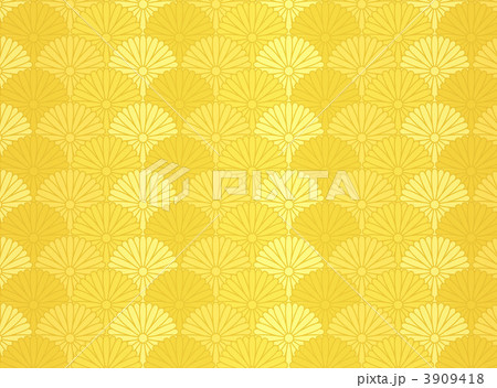 金の菊青海波 3909418