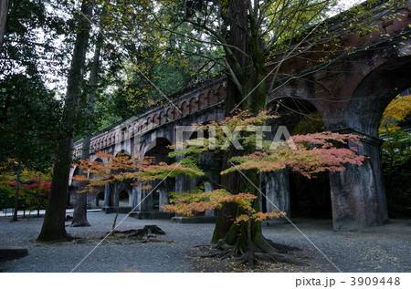 早朝の南禅寺水路閣 3909448