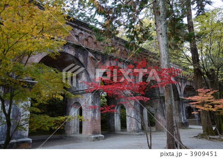 早朝の南禅寺水路閣 早朝の南禅寺水路閣 3909451