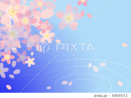水面にうつる桜 3909552