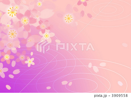 水面にうつる桜 3909558