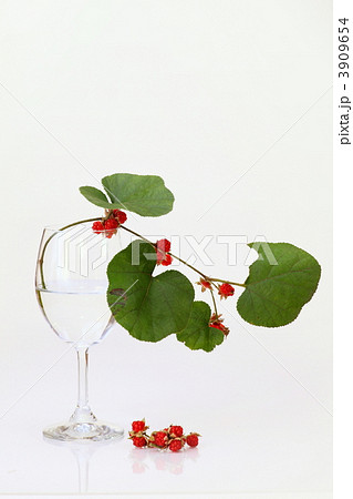 ワイングラスにヤマイチゴ 3909654