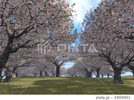 幻想世界「桜満開図＜真昼＞」 3909901