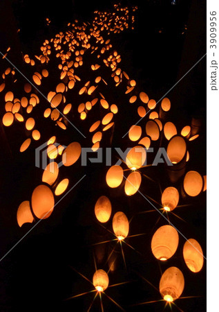 真冬の幻想的な風景 3909956