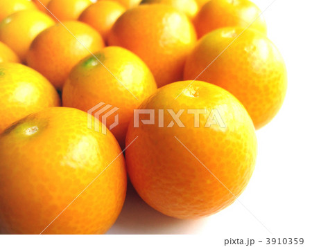 キンカン 3910359