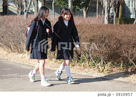 通学する女子中学生 二人の写真素材