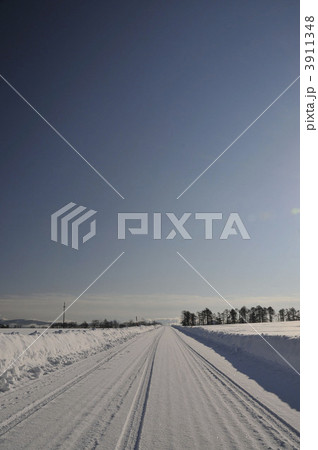 北海道　雪の一本道 3911348