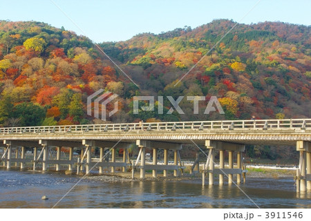 紅葉の渡月橋 紅葉の渡月橋 3911546