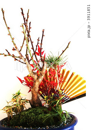 正月盆栽 松竹梅に南天の紅葉 縦位置の写真素材