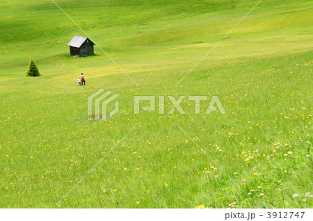 チロル散策 3912747