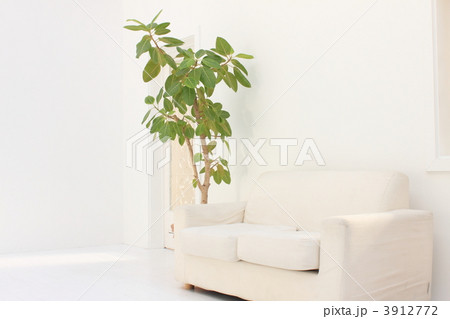 インテリア ソファ インテリア ソファ 3912772