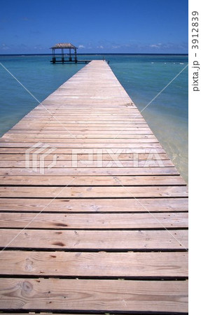 モンテゴベイ ビーチ船着き場 モンテゴベイ ビーチ船着き場 3912839