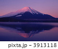紅富士 3913118