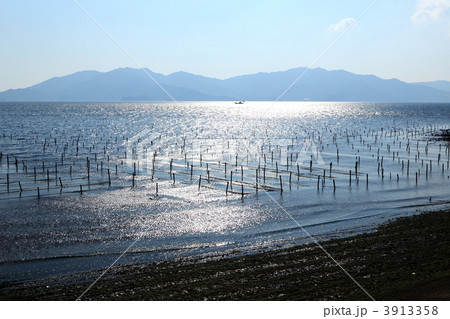 天草の海苔の養殖 3913358