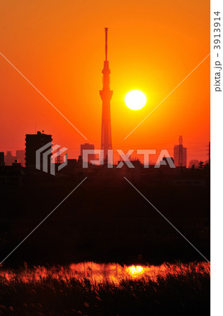 夕日とスカイツリー 夕日とスカイツリー 3913914