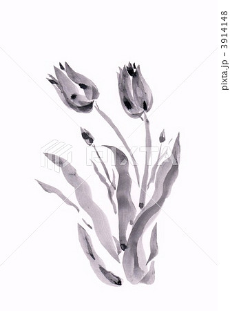 チューリップ～水墨 3914148