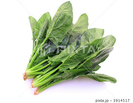 ほうれん草 3914517