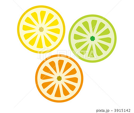 柑橘系 蜜柑 ライムのイラスト素材