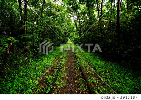 川越の廃線跡 3915187