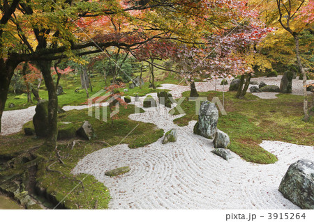 光明禅寺 3915264