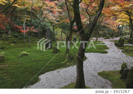 光明禅寺 3915267