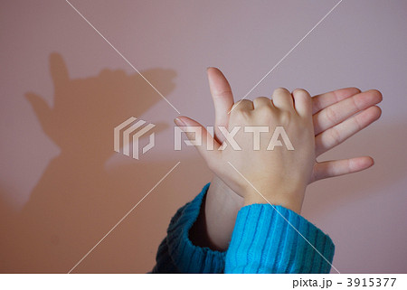 影絵遊び 手遊び 指の写真素材