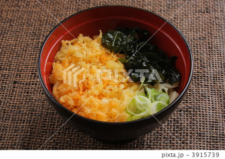 たぬきうどん 3915739