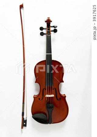 Viola 3917625