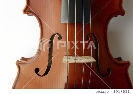 Viola 3917631