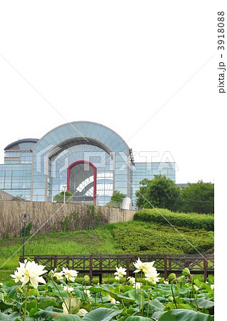 あいち健康プラザと公園 3918088