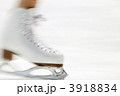 フィギュアスケート 3918834