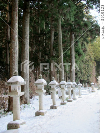 高野山　奥の院 3919123