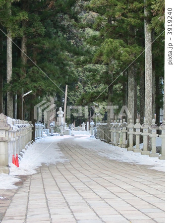 高野山　奥の院 3919240
