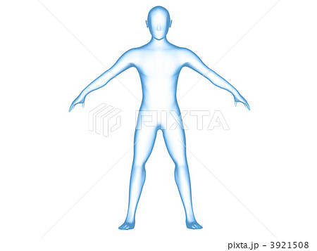 人体男性 3921508