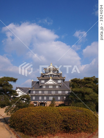 １月の岡山城天守閣遠景 3924094