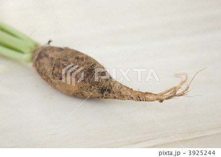 土付きラディッシュ 土付きラディッシュ 3925244