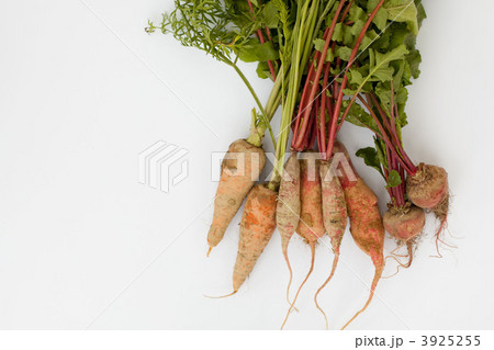 土付き西洋野菜 3925255