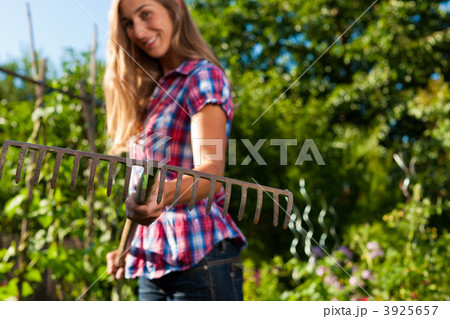 3925657
